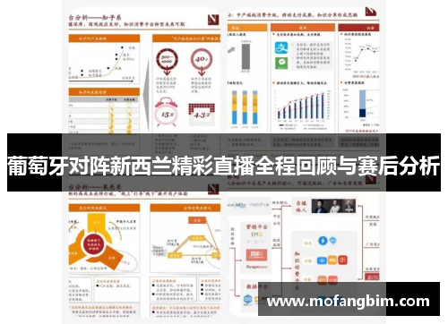 葡萄牙对阵新西兰精彩直播全程回顾与赛后分析