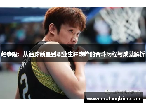 赵泰隆：从篮球新星到职业生涯巅峰的奋斗历程与成就解析